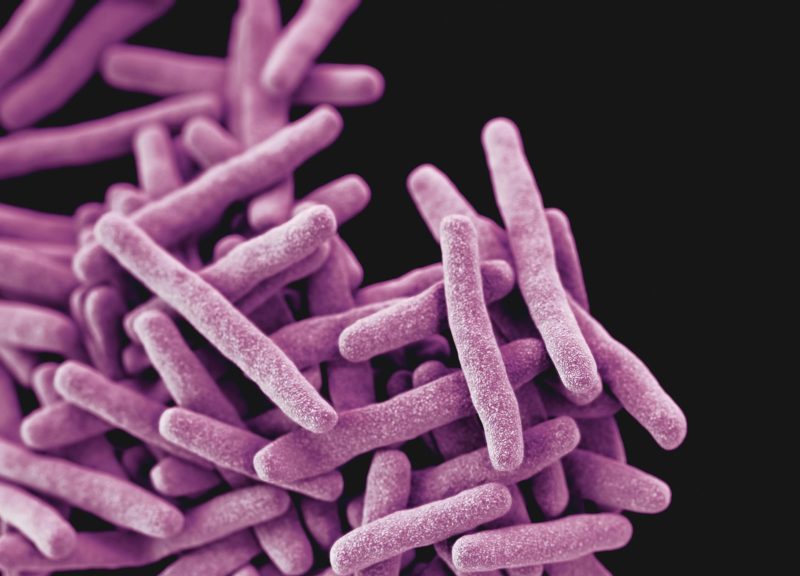 computer generated image of mycobacterium tubercolosis