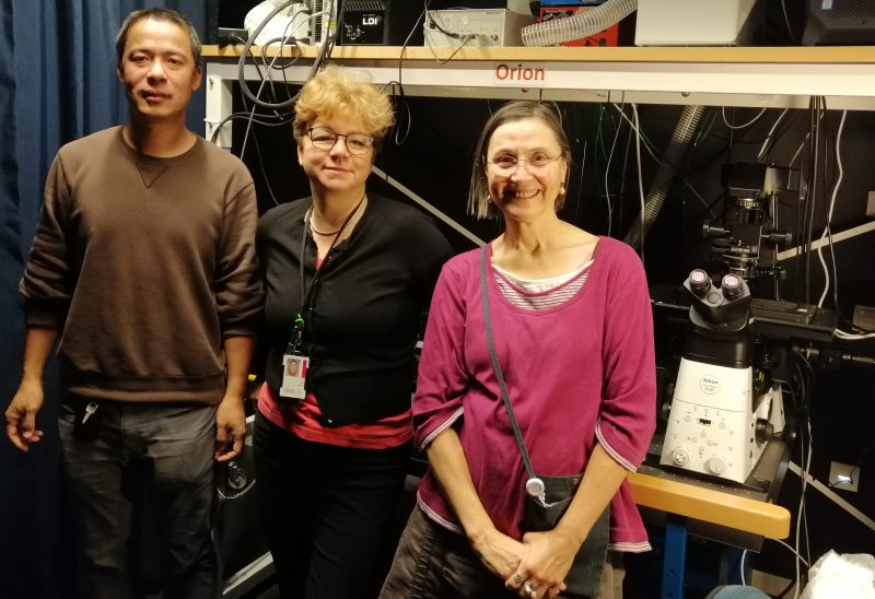 LCI group image